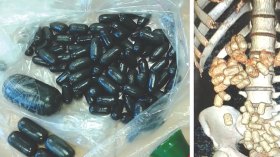 “بطون بشريّة” لنقل المخدرات..!