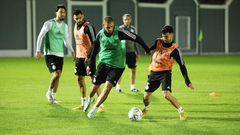 هذا هو برنامج “الخضر” خلال التربص الخاص بمبارتي النيجر