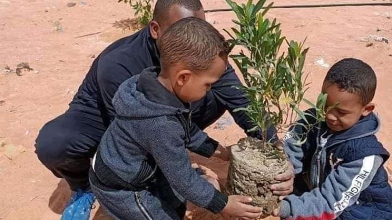 لا بد من ترشيد حملات التشجير حسب خصوصية كل منطقة