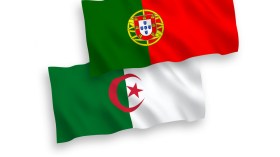 منتدى أعمال جزائري-برتغالي بلشبونة قريبا