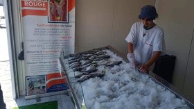 تربية المائيات تكسر أسعار الأسماك