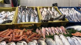 بيع مباشر لمنتجات الصيد البحري خلال رمضان