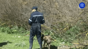 3 أيام من البحث المتواصل .. الطفل “إياد” لايزال مفقودا