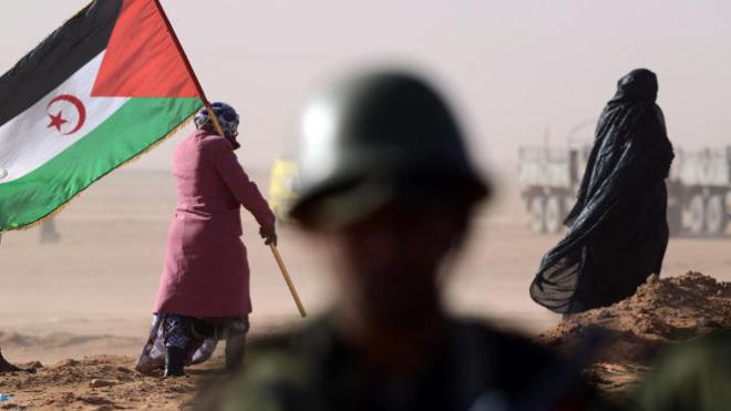 لا حل للقضية الصحراوية إلا عن طريق تقرير المصير