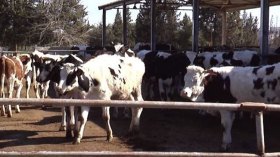 أخبار الجزائر ليوم الإثنين 27 مارس 2023