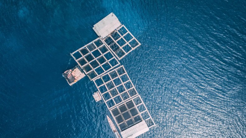 2 طن من الكوكايين عائمة فوق مياه البحر في إيطاليا (فيديو)