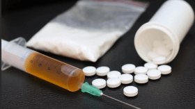 لجنة الفتوى تحذّر من “حملة ضد الجزائر” بنشر المخدرات