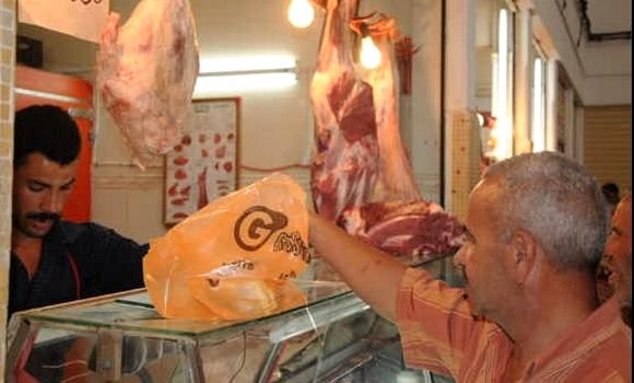 Viandes rouges: Arrivée d’un nouveau lot de têtes bovines destinées à l’abattage