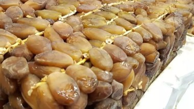 Ouled Djellal: Production de plus de 655.000 quintaux de dattes