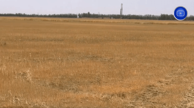 الشلف.. موجة الجفاف تفتك بـ 90 بالمئة من المحاصيل الزراعية