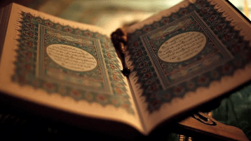 المال بأيدي السّفهاء زيادة سفاهة