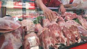 وصول شحنة جديدة من العجول البرازيلية إلى الجزائر