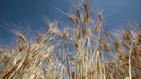 الشحّ المائي.. اجتماع الحكومة يقرّ تدابير استعجالية لفائدة الفلاحين