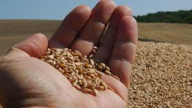 Quand 3 pays de l’UE interdisent l’importation des céréales ukrainiennes!