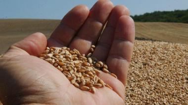 Quand 3 pays de l’UE interdisent l’importation des céréales ukrainiennes!