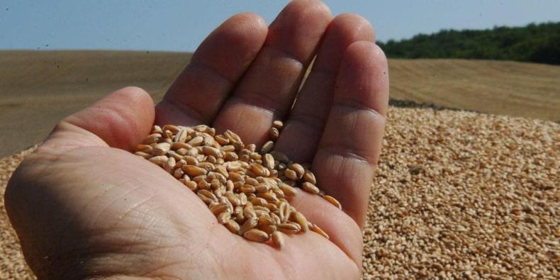 Quand 3 pays de l’UE interdisent l’importation des céréales ukrainiennes!