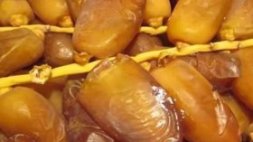 Dattes algériennes: l’or inépuisable du désert