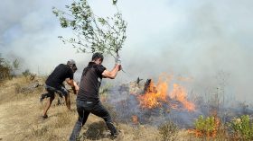 إجراءات استباقية لحماية المحاصيل الزراعية من الحرائق