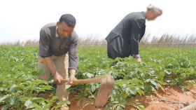 أمطار الربيع تحيي الأمل في إنقاذ الموسم الفلاحي