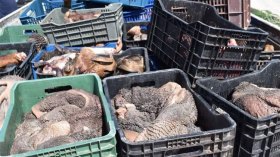 أخبار الجزائر ليوم الأحد 09 أفريل 2023