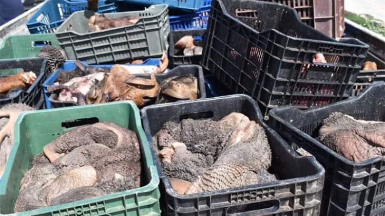 أخبار الجزائر ليوم الأحد 09 أفريل 2023