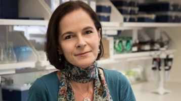 رأس ياسمين وقدم حُسام!