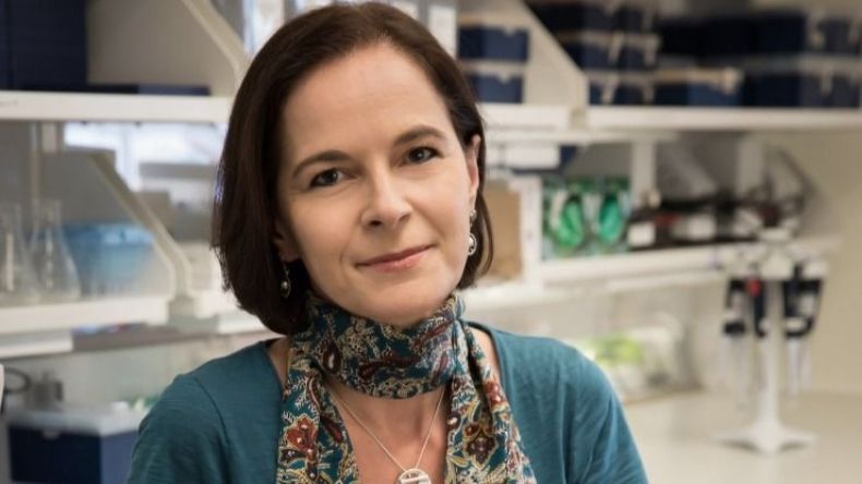 رأس ياسمين وقدم حُسام!