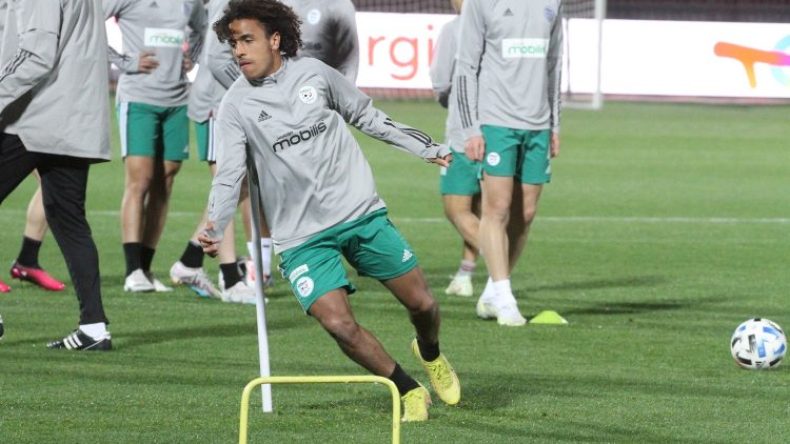 دولي جزائري يُمدّد عقده في إيطاليا