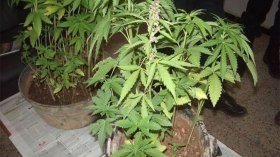 أخبار الجزائر ليوم الإثنين 03 أفريل 2023