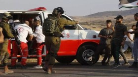 Plusieurs Palestiniens blessés lors d’affrontements avec les forces d’occupation sionistes à El Khalil