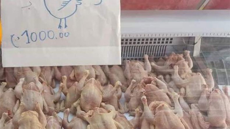 دجاج غير قانوني في الأسواق!