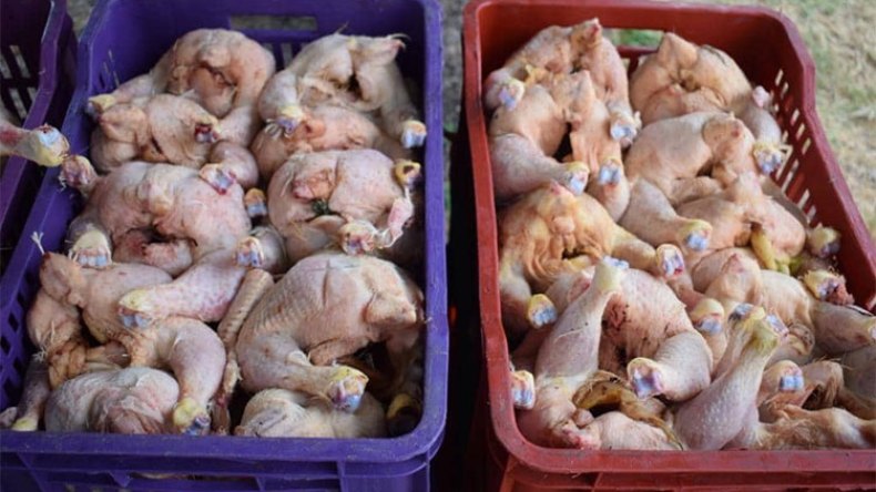 أخبار الجزائر ليوم السبت 08 أفريل 2023