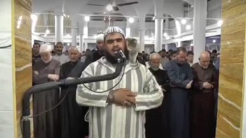 ماذا لو كان كلبًا؟!