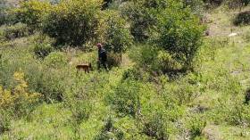 بالصور.. انطلاق عملية البحث عن الطفل المفقود بالجباحية