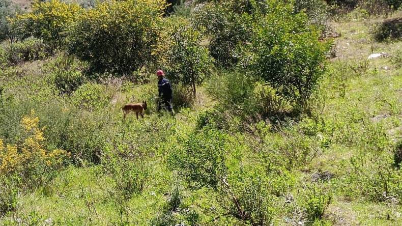 بالصور.. انطلاق عملية البحث عن الطفل المفقود بالجباحية