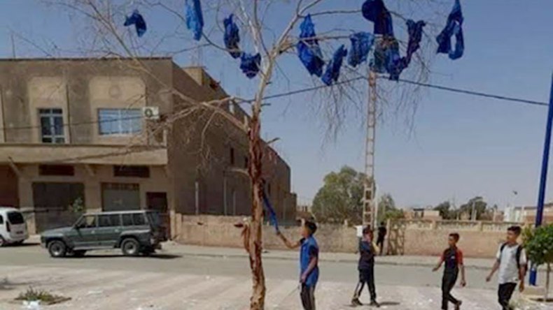 تلاميذ يعلقون مآزرهم بالأشجار ويعبثون بأوراق الامتحان