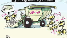 الكرة السنغالية!