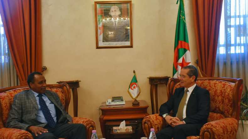 وزير الفلاحة يبحث تعزيز التعاون مع المدير العام للمنظمة العربية للتنمية الزراعية