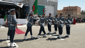 حركة جزئية في سلك الجمارك