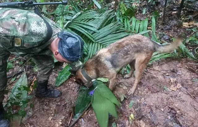 Quatre enfants, dont un bébé, ont survécu seuls 15 jours après un crash!