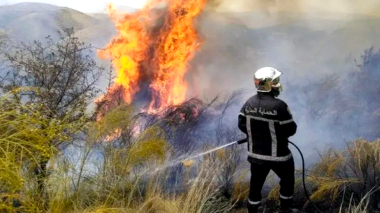 Lutte contre les feux de forêts: Vers l’acquisition de drones de surveillance