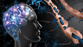 Sclérose en plaques: Plaidoyer pour un registre national de la maladie