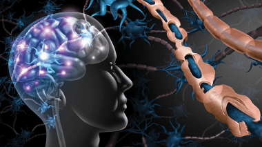 Sclérose en plaques: Plaidoyer pour un registre national de la maladie