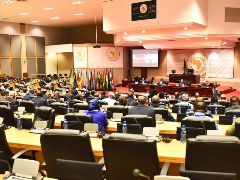 Le Parlement panafricain condamne toute ingérence dans les affaires internes de l’Algérie
