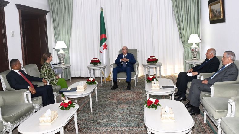 توحيد مواقف الجزائر وليبيا إزاء التطورات في السودان (فيديو)