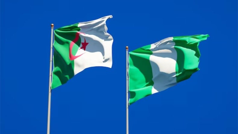 الجزائر ونيجيريا… إمكانات كبيرة وتطور سريع في العلاقات