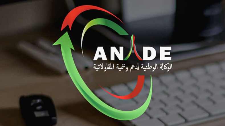شروط جديدة لتمويل حاملي المشاريع من وكالة “أناد”