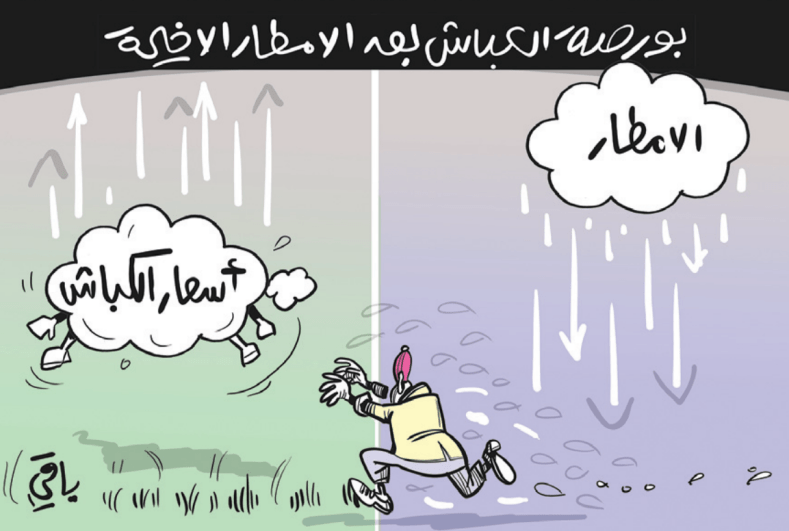 الأمطار وأسعار الكباش