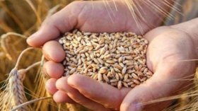 التأمينات الفلاحية والأمن الغذائي موضوع مؤتمر إفريقي