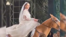 بالفيديو.. عروس تدخل قاعة الزفاف على ظهر حصان